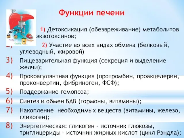 Функции печени 1) Детоксикация (обезвреживание) метаболитов и экзотоксинов; 2) Участие во