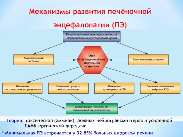 Механизмы развития печёночной энцефалопатии (ПЭ) Теории: токсическая (аммиак), ложных нейротрансмиттеров и