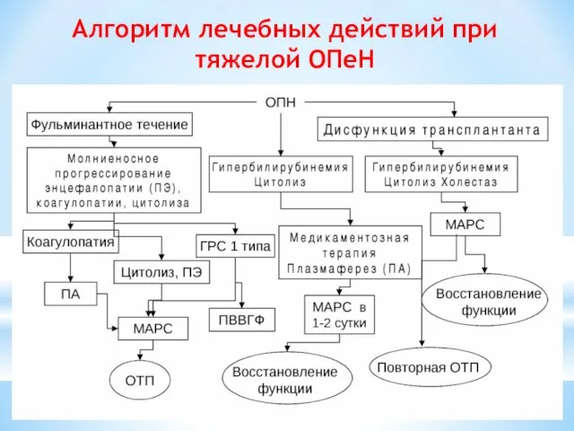 Алгоритм лечебных действий при тяжелой ОПеН