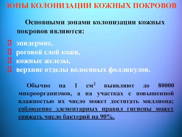 эпидермис, роговой слой кожи, кожные железы, верхние отделы волосяных фолликулов. ЗОНЫ