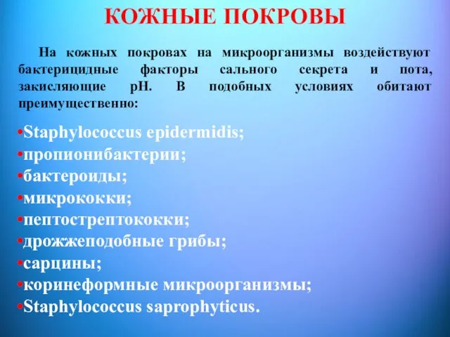 КОЖНЫЕ ПОКРОВЫ На кожных покровах на микроорганизмы воздействуют бактерицидные факторы сального