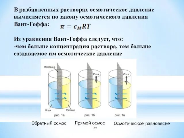 Обратный осмос Прямой осмос Осмотическое равновесие В разбавленных растворах осмотическое давление