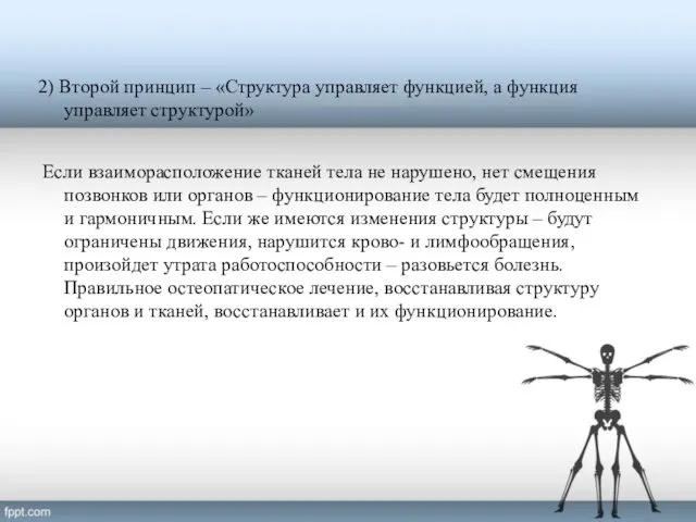 2) Второй принцип – «Структура управляет функцией, а функция управляет структурой»