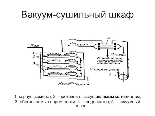 Вакуум-сушильный шкаф 1- корпус (камера); 2 - противни с высушиваемым материалом;