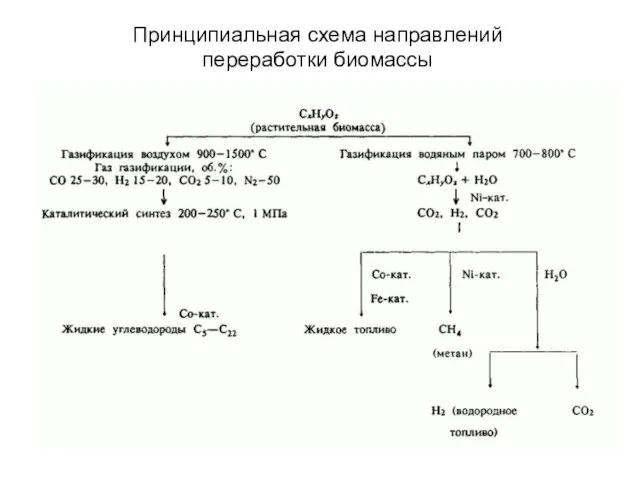 Принципиальная схема направлений переработки биомассы