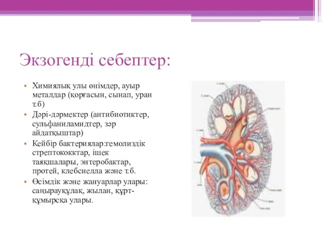 Экзогенді себептер: Химиялық улы өнімдер, ауыр металдар (қорғасын, сынап, уран т.б)