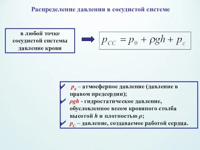 в любой точке сосудистой системы давление крови Распределение давления в сосудистой