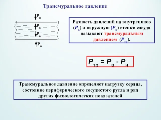 Трансмуральное давление Разность давлений на внутреннюю (Рв) и наружную (Рн) стенки