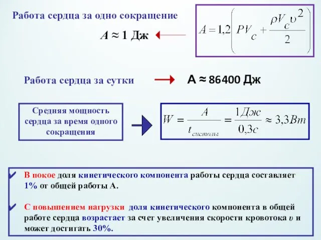 Работа сердца за одно сокращение А ≈ 1 Дж Работа сердца