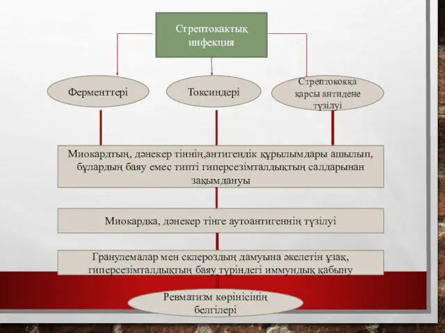 Стрептокактық инфекция Ферменттері Токсиндері Стрептококқа қарсы антидене түзілуі Миокардтың, дәнекер тіннің,антигендік