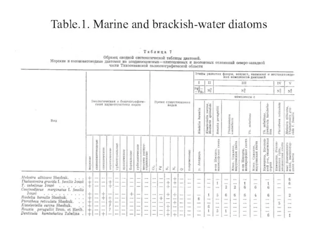 Table.1. Marine and brackish-water diatoms