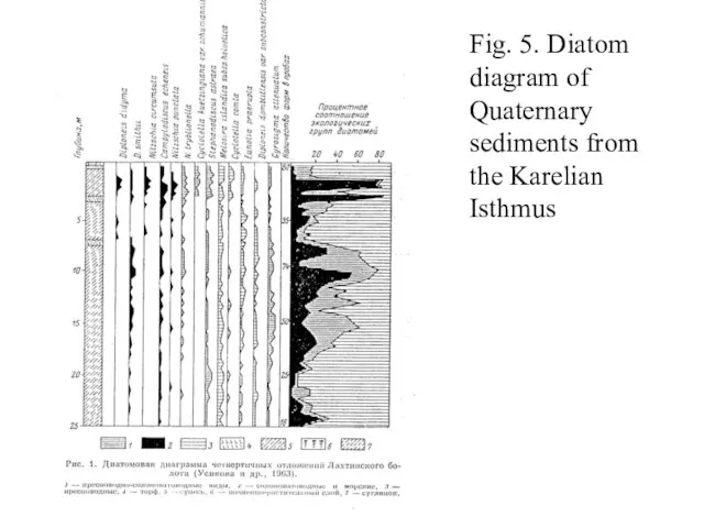 Fig. 5. Diatom diagram of Quaternary sediments from the Karelian Isthmus