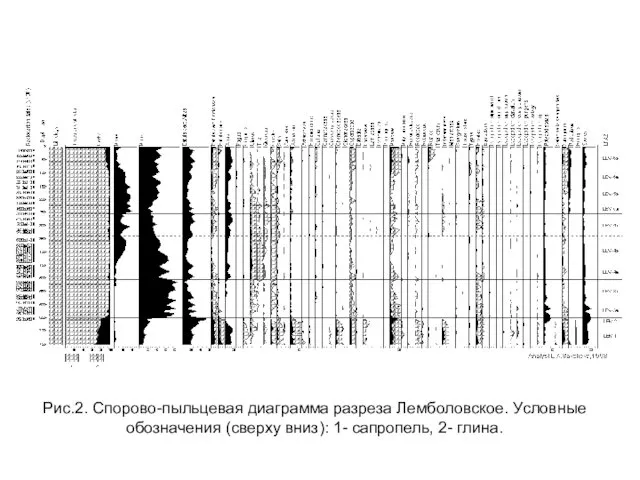 Рис.2. Спорово-пыльцевая диаграмма разреза Лемболовское. Условные обозначения (сверху вниз): 1- сапропель, 2- глина.