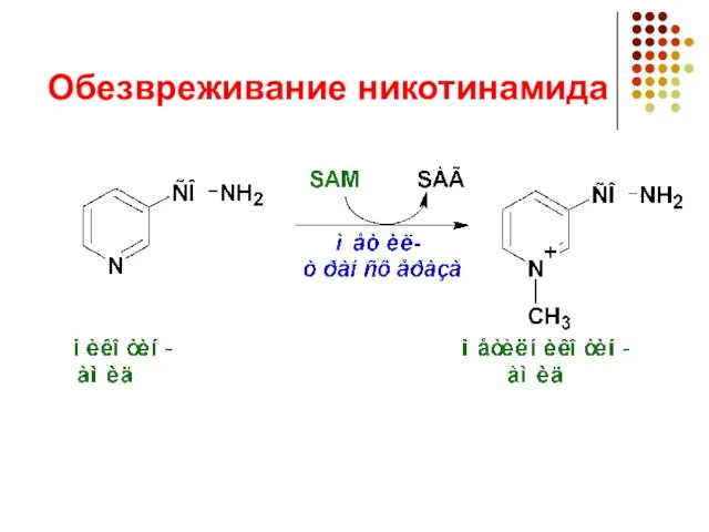 Обезвреживание никотинамида