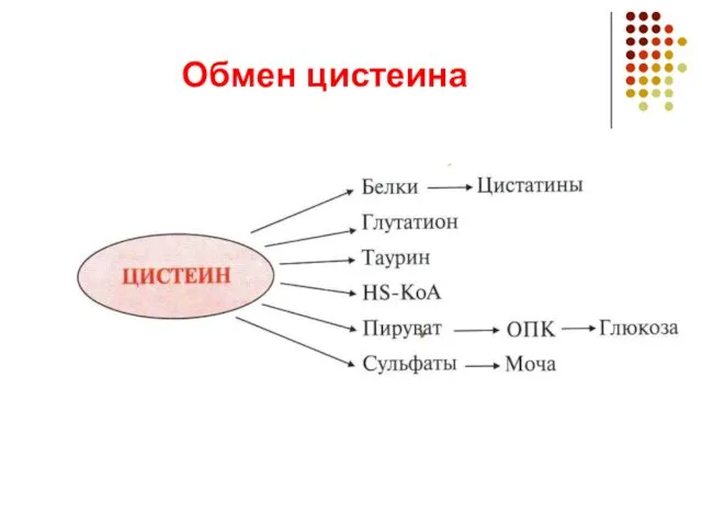 Обмен цистеина