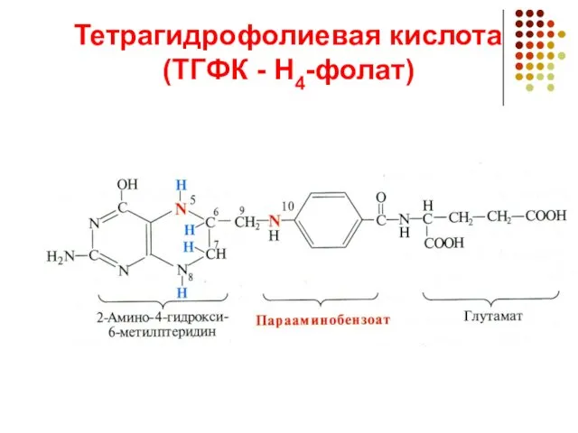 Тетрагидрофолиевая кислота (ТГФК - Н4-фолат)