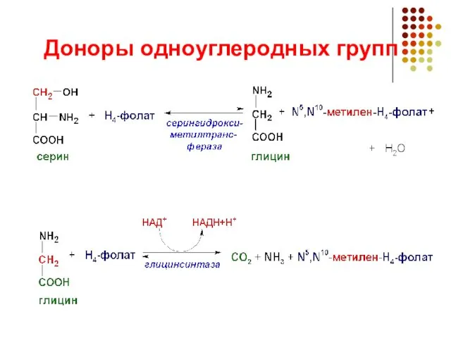 Доноры одноуглеродных групп