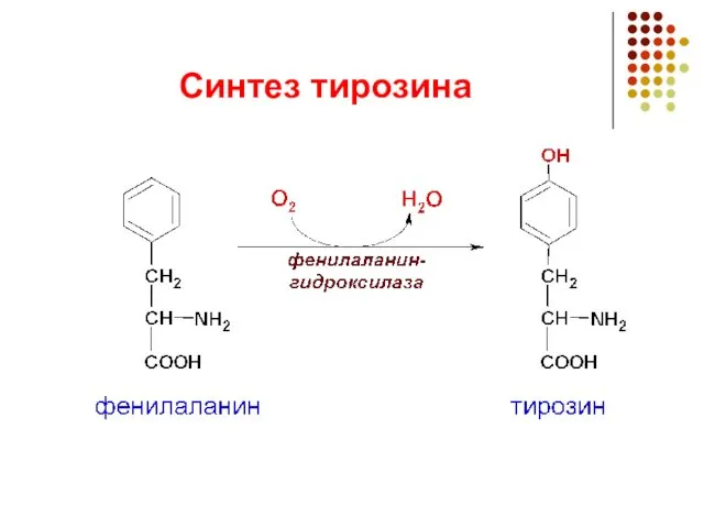 Синтез тирозина