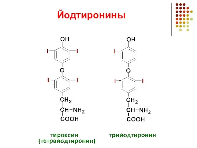 Йодтиронины