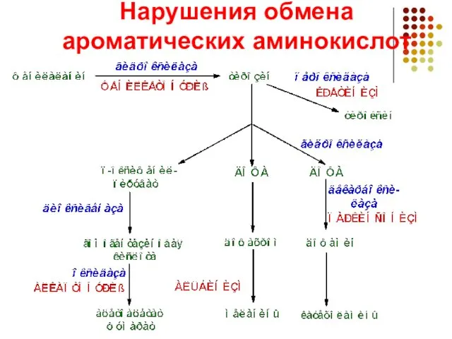 Нарушения обмена ароматических аминокислот