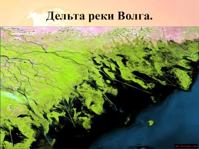 Дельта реки Волга.