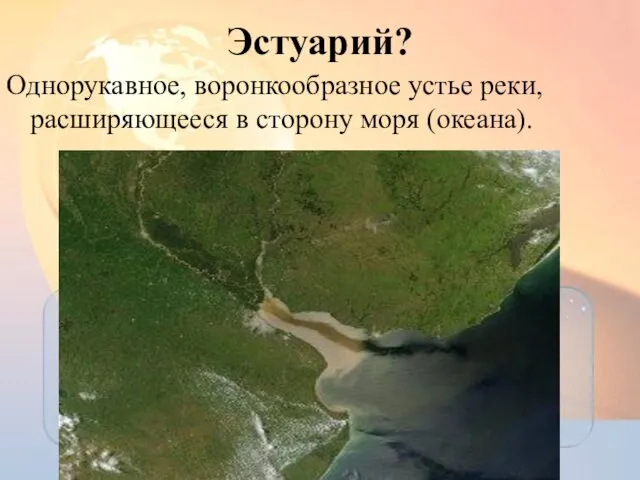 Эстуарий? Однорукавное, воронкообразное устье реки, расширяющееся в сторону моря (океана).