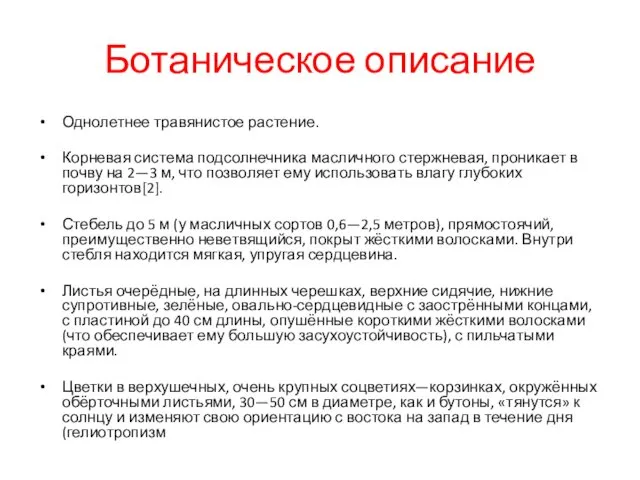 Ботаническое описание Однолетнее травянистое растение. Корневая система подсолнечника масличного стержневая, проникает