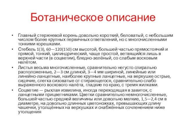 Ботаническое описание Главный стержневой корень довольно короткий, беловатый, с небольшим числом