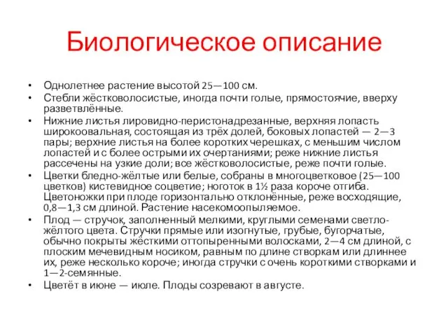 Биологическое описание Однолетнее растение высотой 25—100 см. Стебли жёстковолосистые, иногда почти