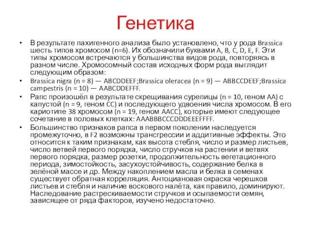 Генетика В результате пахигенного анализа было установлено, что у рода Brassica