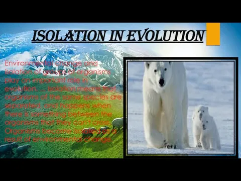 Environmental change and isolation of groups of organisms play an important