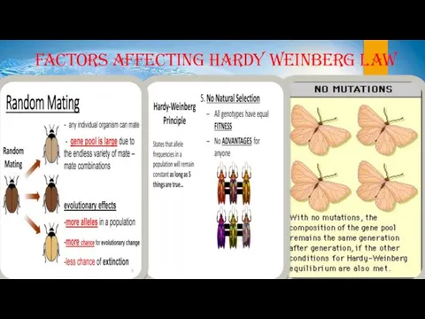 FACTORS AFFECTING HARDY WEINBERG LAW