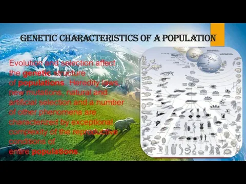 GENETIC CHARACTERISTICS OF A POPULATION Evolution and selection affect the genetic