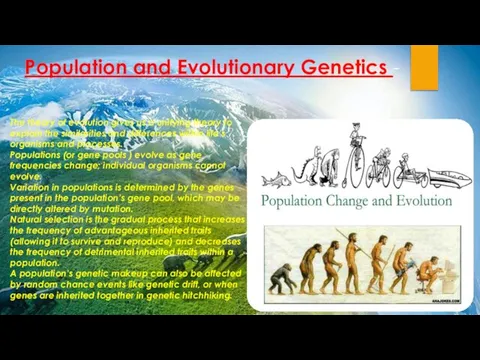 Population and Evolutionary Genetics - The theory of evolution gives us