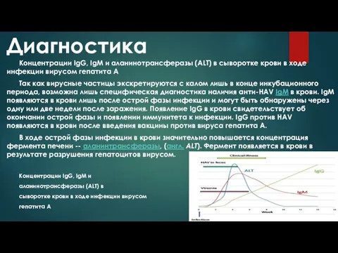 Диагностика Концентрации IgG, IgM и аланинотрансферазы (ALT) в сыворотке крови в