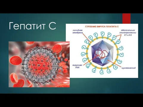 Гепатит С