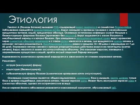 Этиология Гепатит A (болезнь Боткина) вызывает РНК-содержащий вирус гепатита A из