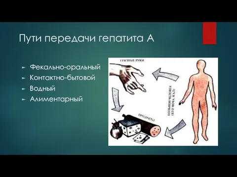 Пути передачи гепатита А Фекально-оральный Контактно-бытовой Водный Алиментарный