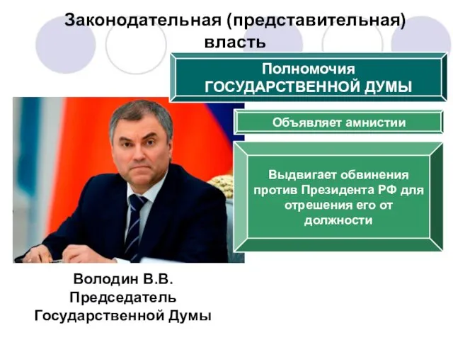 Володин В.В. Председатель Государственной Думы Полномочия ГОСУДАРСТВЕННОЙ ДУМЫ Объявляет амнистии Выдвигает