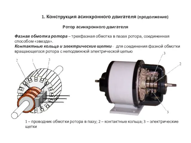 1. Конструкция асинхронного двигателя (продолжение) Ротор асинхронного двигателя Фазная обмотка ротора