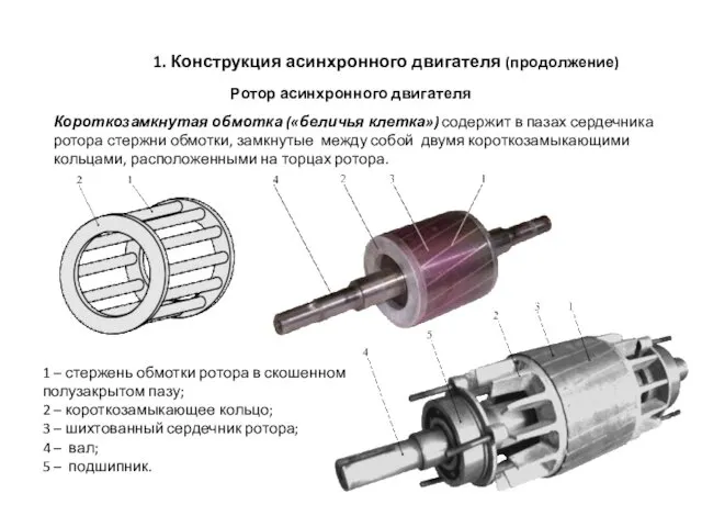 1. Конструкция асинхронного двигателя (продолжение) Ротор асинхронного двигателя Короткозамкнутая обмотка («беличья