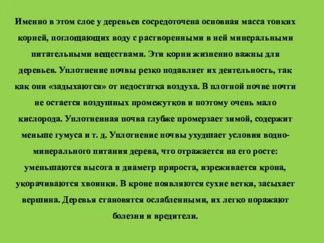 Именно в этом слое у деревьев сосредоточена основная масса тонких корней,