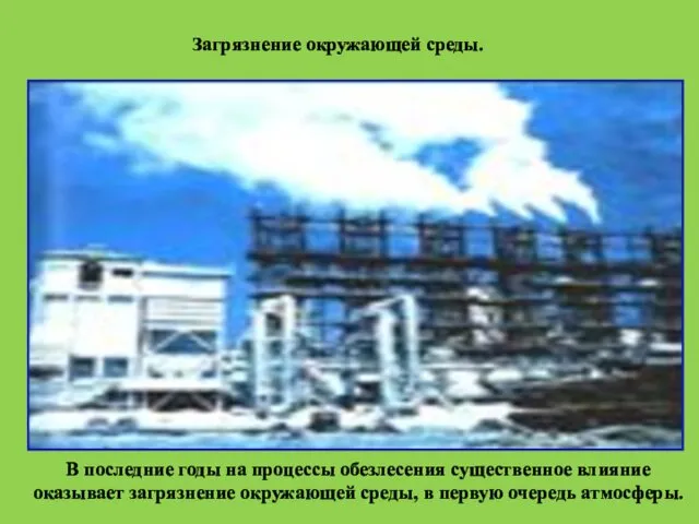 Загрязнение окружающей среды. В последние годы на процессы обезлесения существенное влияние