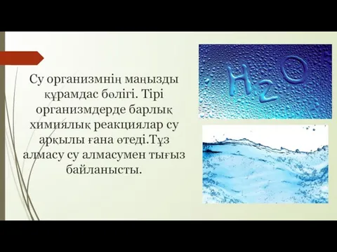 Су организмнің маңызды құрамдас бөлігі. Тірі организмдерде барлық химиялық реакциялар су