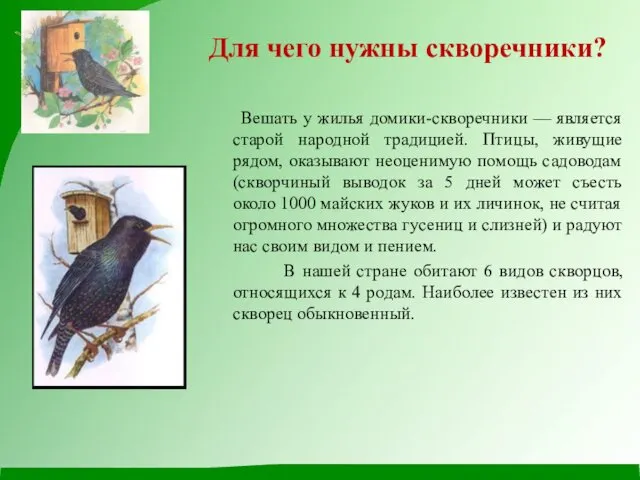 Для чего нужны скворечники? Вешать у жилья домики-скворечники — является старой