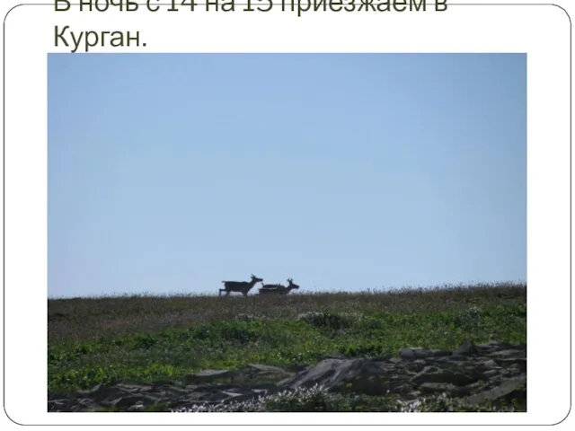 В ночь с 14 на 15 приезжаем в Курган.