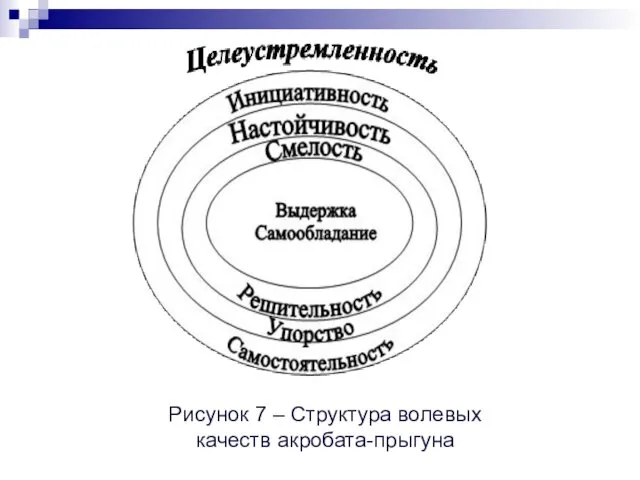 Рисунок 7 – Структура волевых качеств акробата-прыгуна