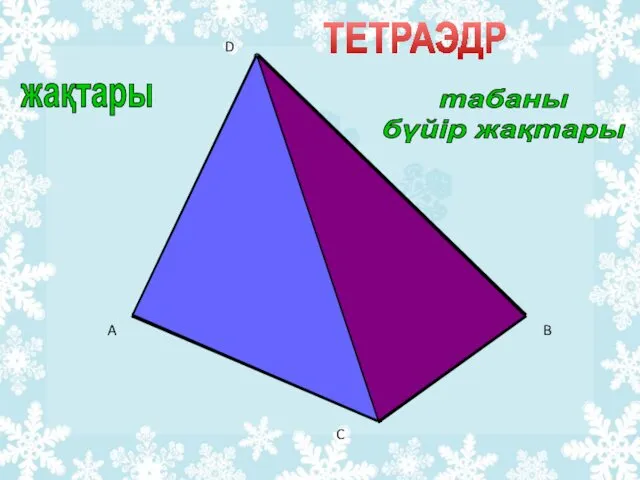 A B C D ТЕТРАЭДР жақтары табаны бүйір жақтары