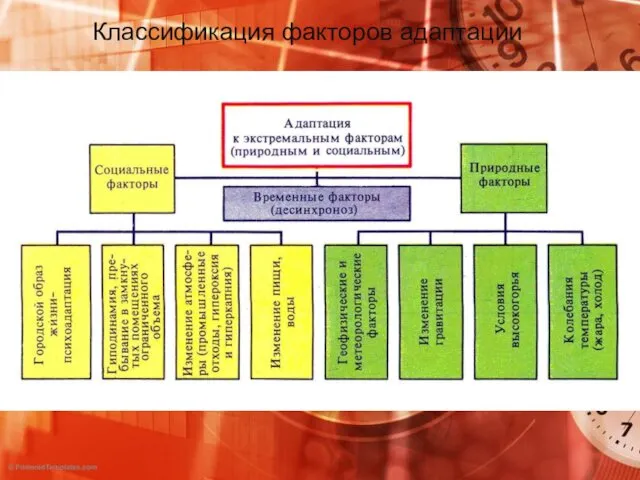 Классификация факторов адаптации