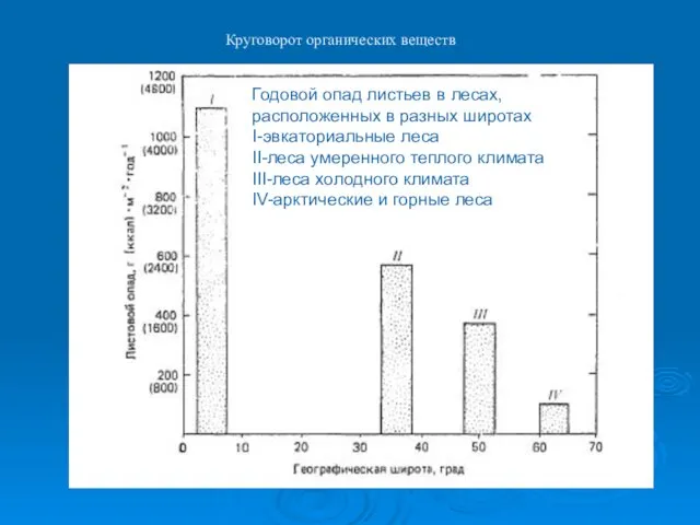 Круговорот органических веществ Годовой опад листьев в лесах, расположенных в разных